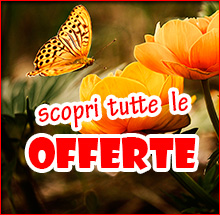 scopri tutte le offerte